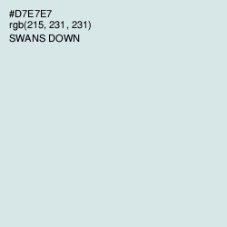 #D7E7E7 - Swans Down Color Image